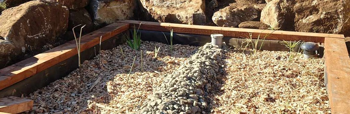 Fin de chantier pour la pose d'une phyto de type Carex